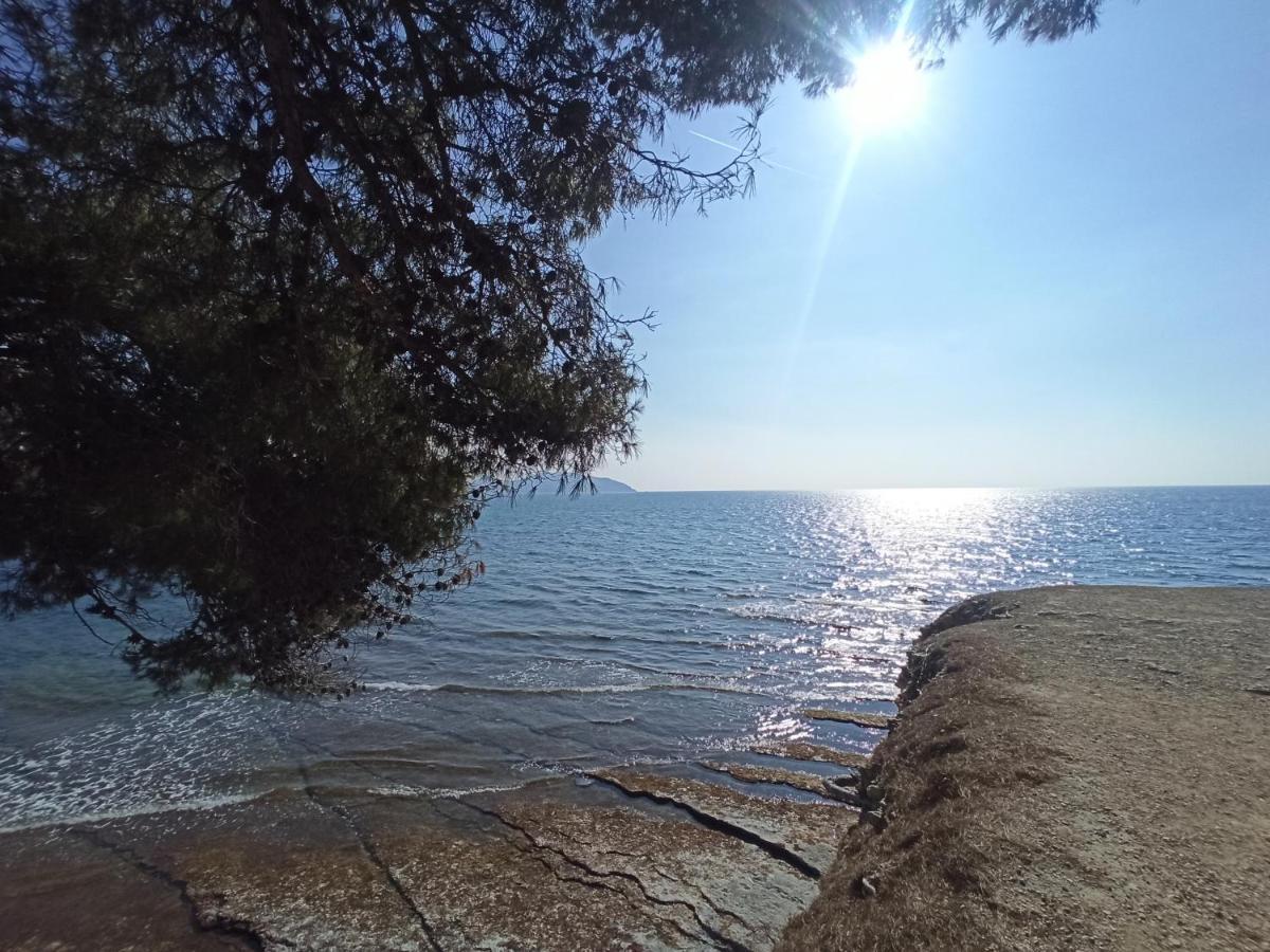 Ete Indien - Plage - Wifi - Host Provence Apartment La Ciotat Luaran gambar